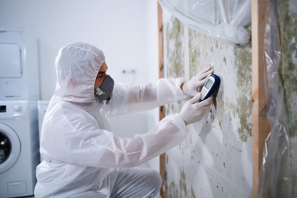 Mold remediation service